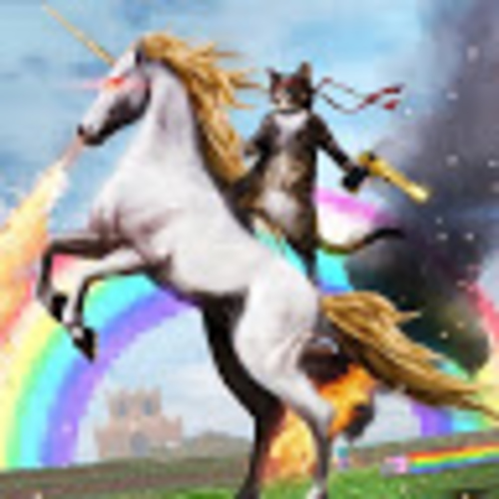 Meet your Posher, Leslee